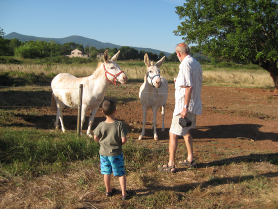 Barnevennlig i Provence