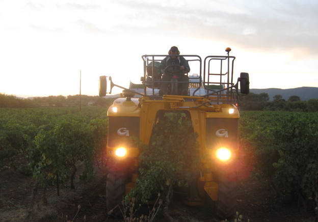 vinsmaking i Provence